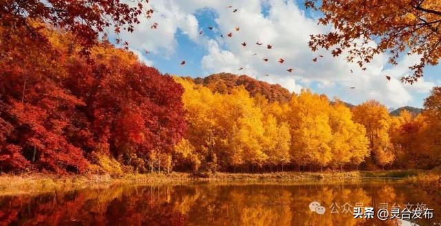 灵台A级景区全攻略，邀您共赴一场冬日康养之约