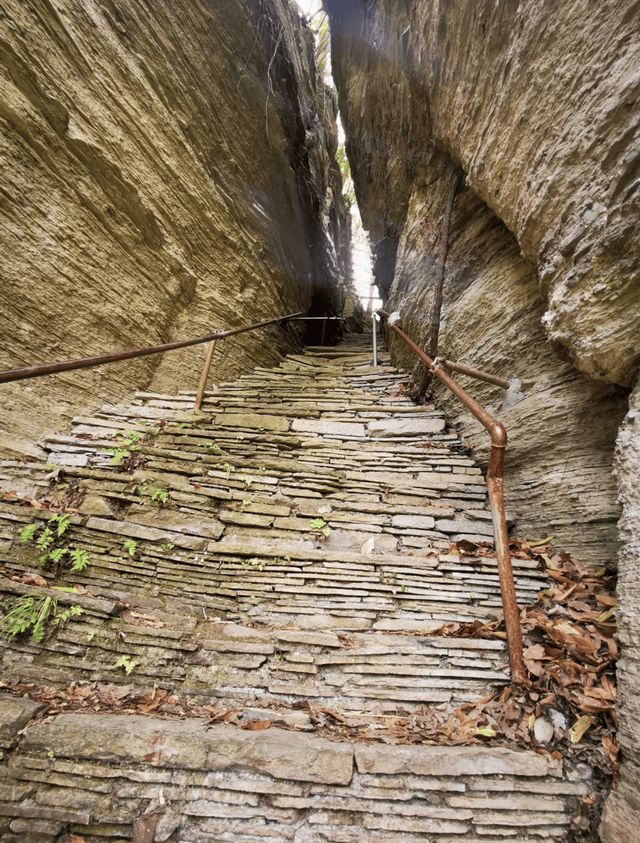 躲开镇山村的烟火，我在一水之隔的李村，找到冬日最深的宁静！