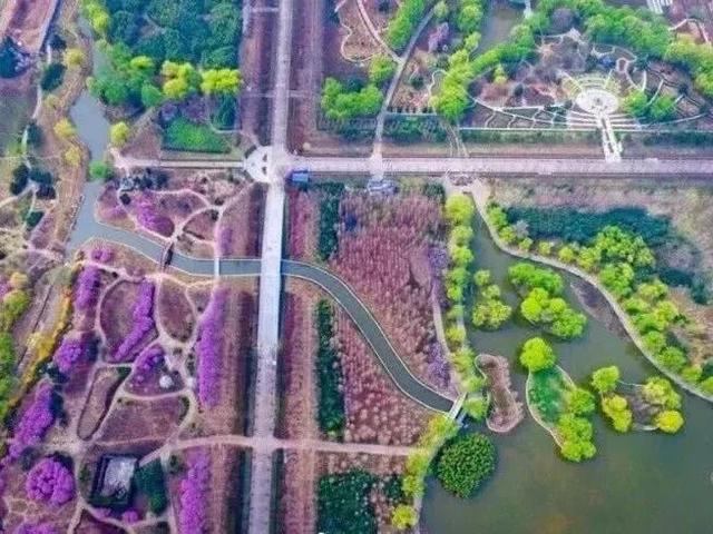 神都年味图鉴：2026洛阳春节漫游指南