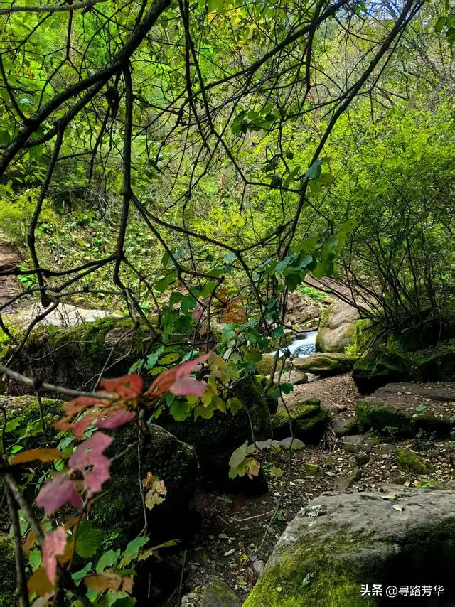 在陇南的夜色里,行走于白龙江畔