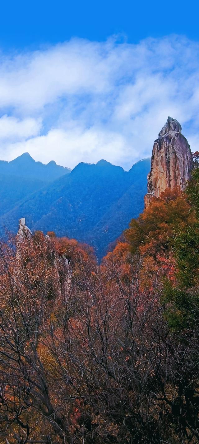 最爱秋意行不足 再上翠华赏秋色