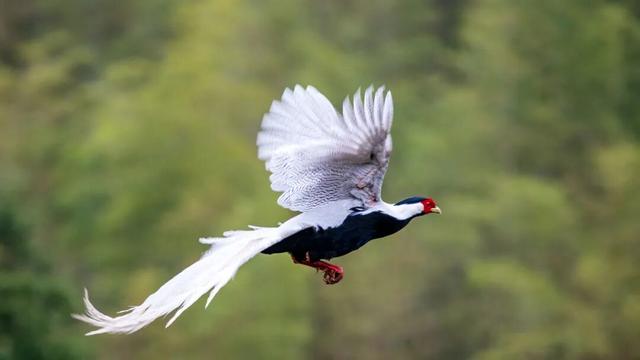 快来抱抱~ | Welcome to 疯狂·武夷山·动物城