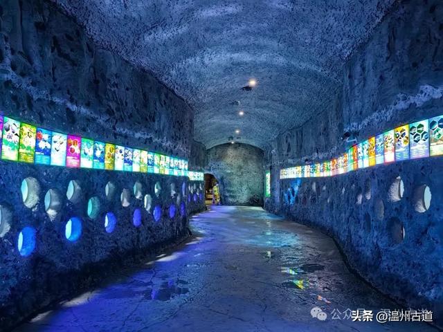 温州这个以畲族始祖命名的4A级景区，秘藏着一座“生物王国”！