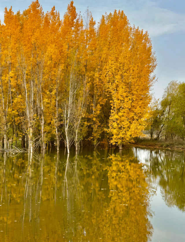 西安城区4个绝美秋景打卡地！