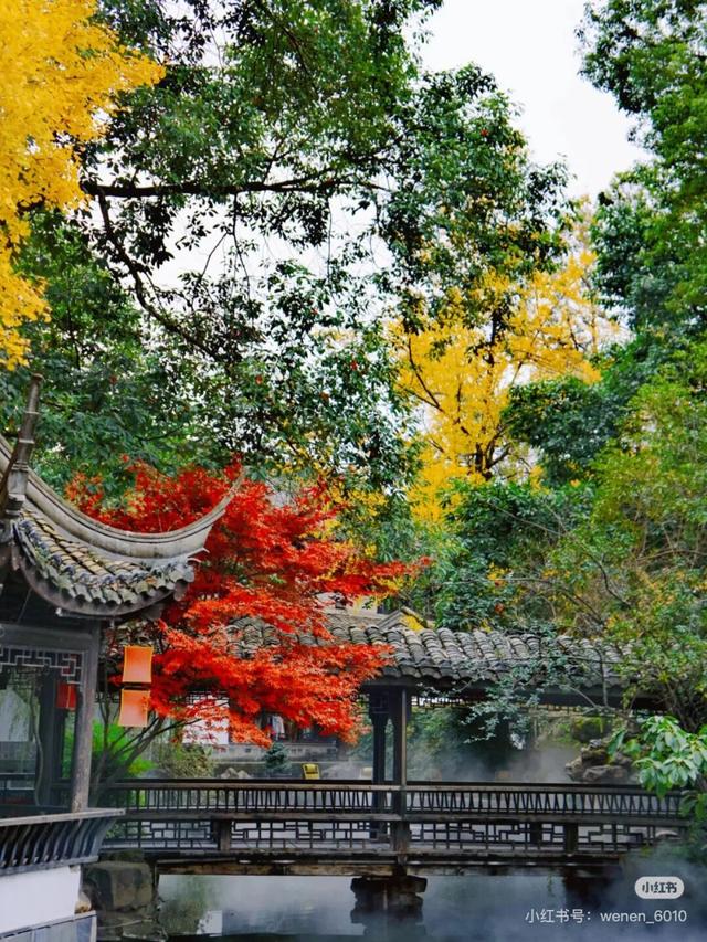 地铁直达！免费！成都20个绝美赏秋地，银杏水杉梧桐红枫限时上演！就在家门口！
