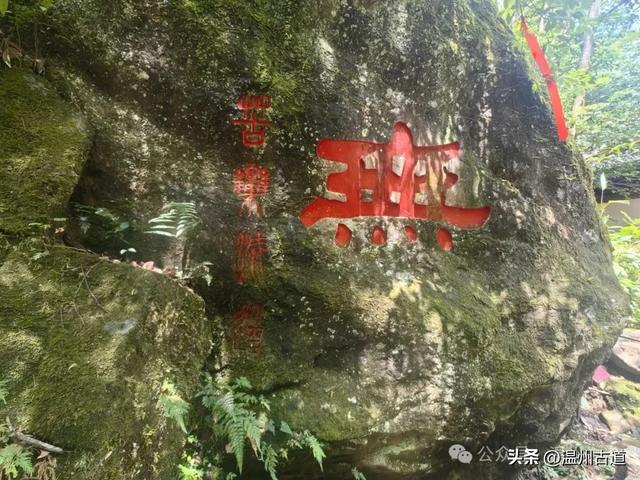 实在没想到，浙江竟然也有一座千佛山，春日里被誉为江南小九寨