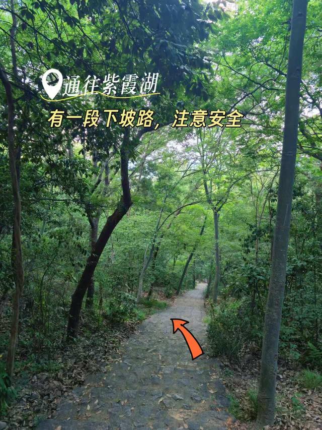 南京紫金山日出和免费游明孝陵