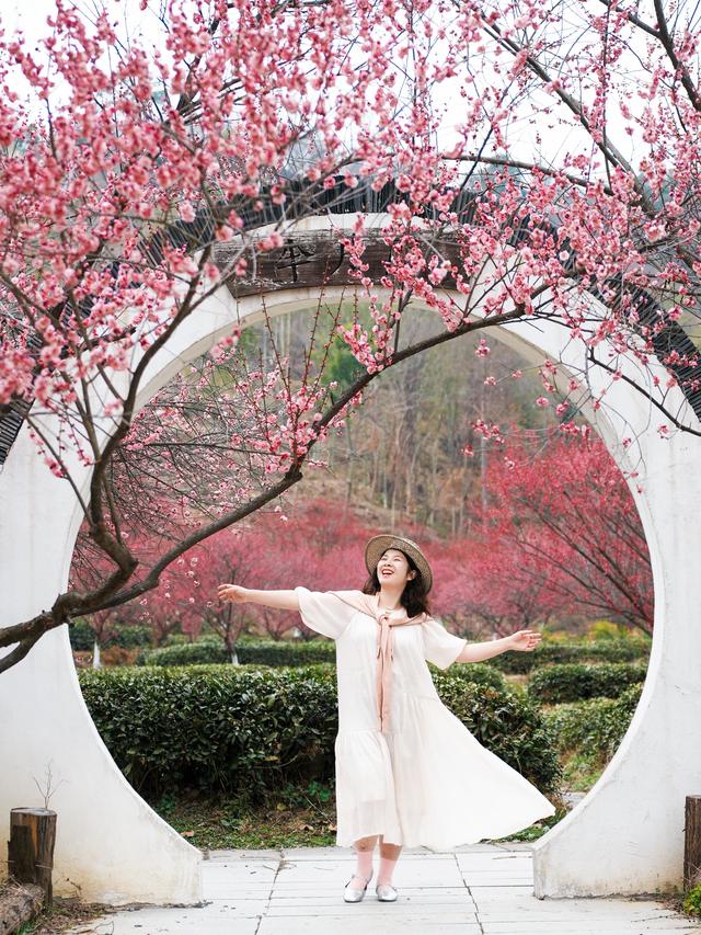 号外！十万梅花和一首诗在花乡茶谷等你！