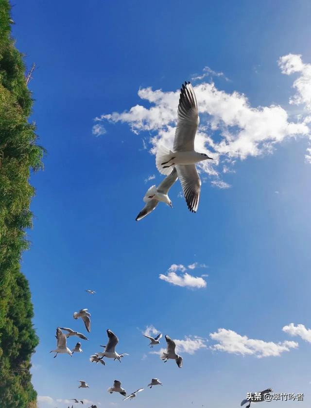 后悔来晚了，地铁直达的免费宝地，遛娃拍照绝佳，周末立刻出发。