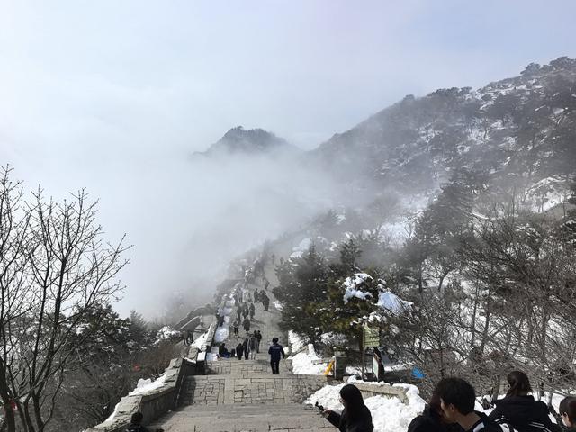 雪峰刺破苍穹 云海托举世界