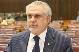 凌晨4点，巴外长急见中国大使，亲口证实，中国武器击落印军战机图片