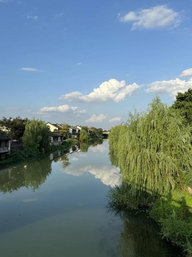 iPhone 15ȫϵ��Ȳ����������ֵ��ֵ�ã�