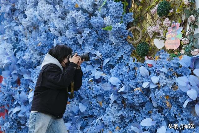 邯郸冀南新区：初冬美景入画来