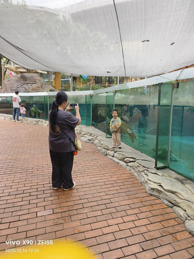 成都 极地海洋公园（58）2025年10月16日