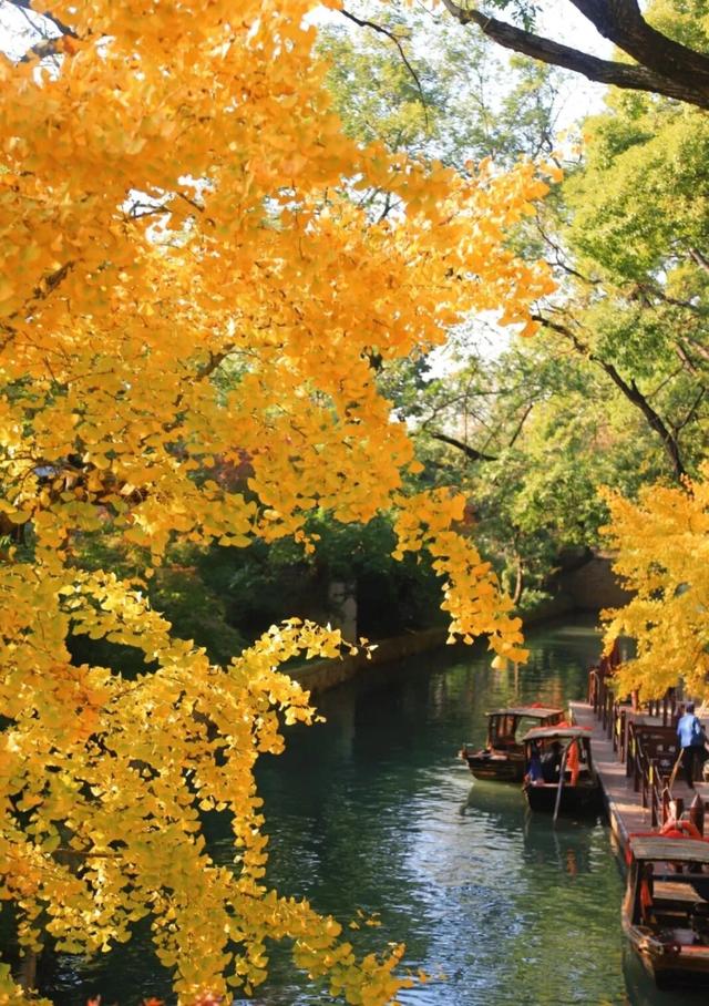 来虎丘山，这里有你更好看！