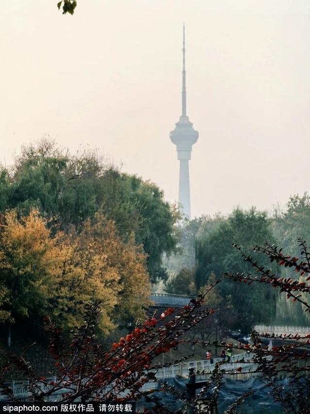 此刻的北京，见证秋与冬的双向奔赴