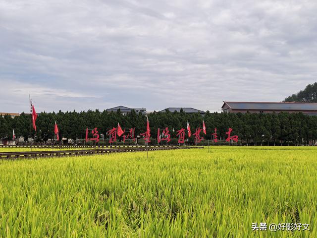 永葆兵本色 树好党员样——闽西红色之旅纪行之一