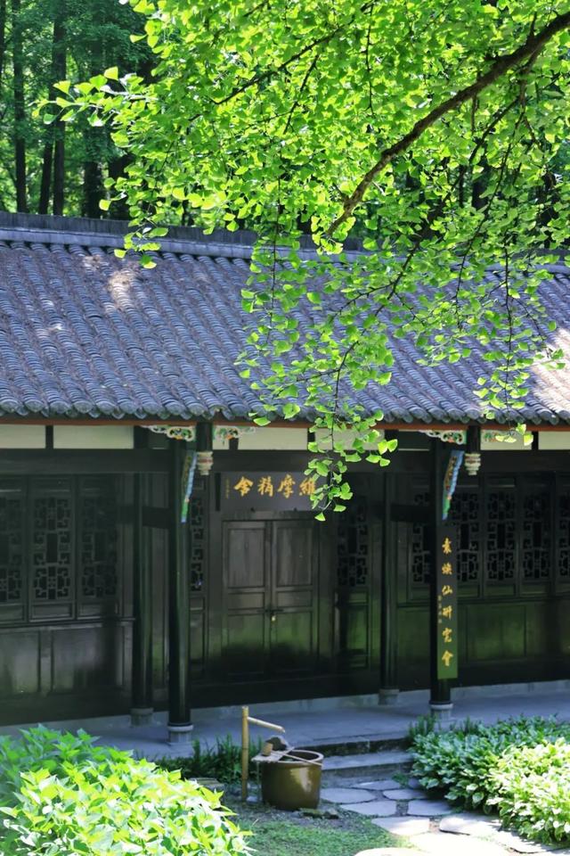 报告！新发现都江堰隐藏款“绿野仙踪”🤟