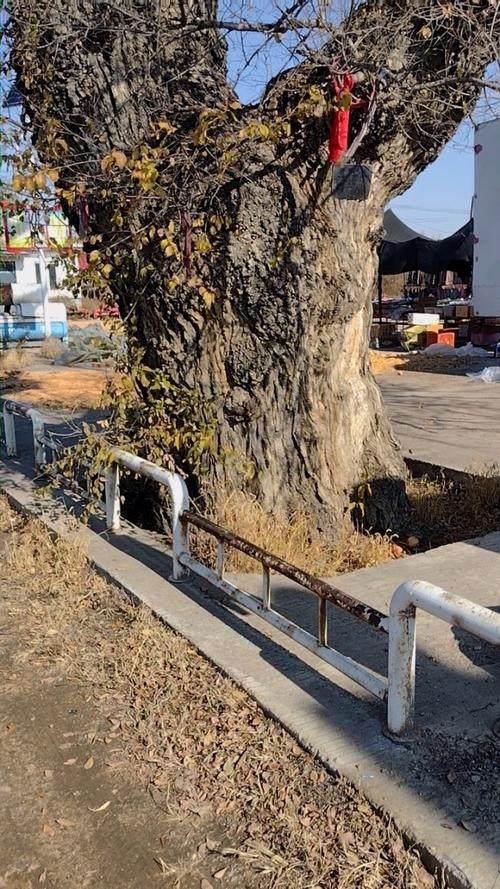 河北没想到，丛台也没想到，如今的中国涉县，已成为全国的涉县！