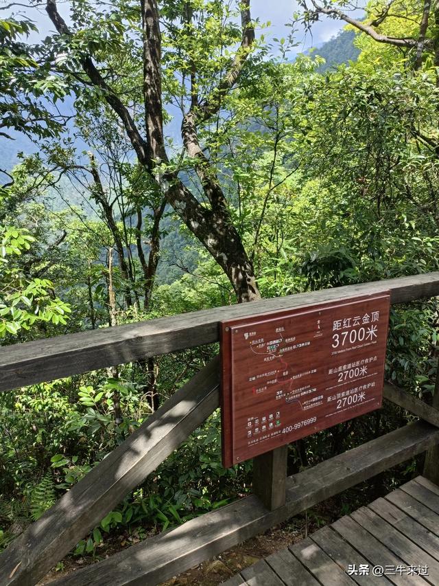 无为在歧路，贵州六日行（15）～梵净山