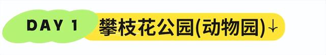 美疯了！高铁直达“四川小三亚”，花海开爆！草莓按盆吃，烧烤香迷糊！