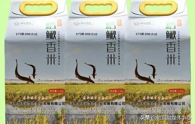 喜迎元旦·暖冬乐游丨勉县庆元旦系列活动盛大开启