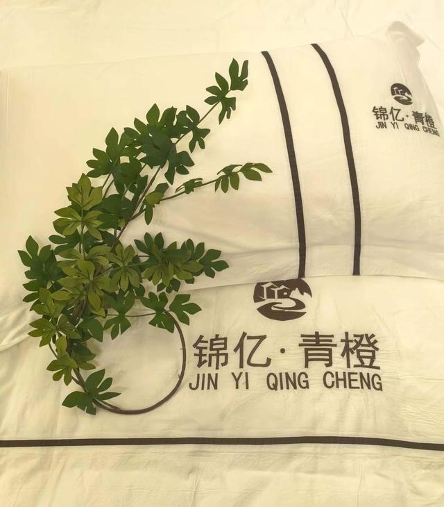 喜报！锦亿青橙民宿荣获四川省精品民宿人气榜首