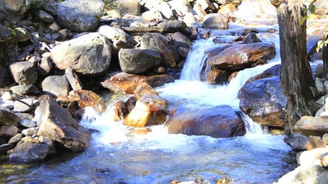 西藏不只有雪山！这片隐秘的江南，是冬季的天然氧吧和避寒仙境。