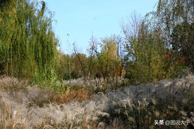 深秋时节，临汾有个富有诗意的好地方！