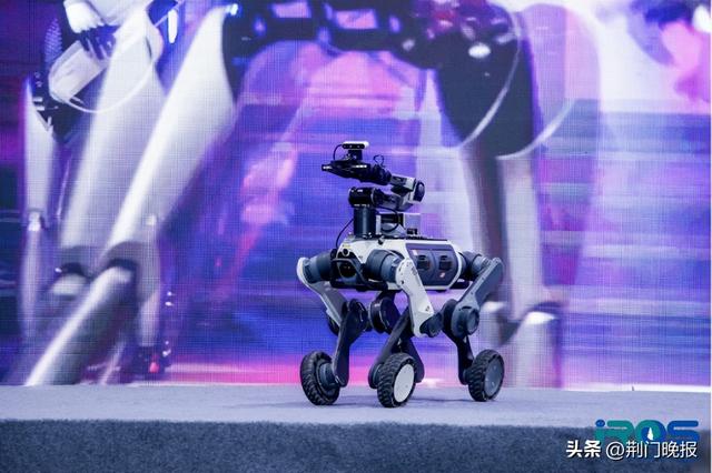 云深处科技亮相IROS 2025，多维展示具身智能前沿成果