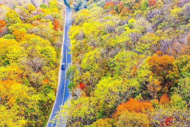 北国江城，雾凇之都，中国B型城市旅游指南之吉林