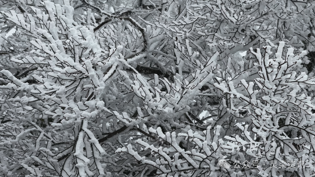 兴安限定版“冰雪奇缘”惊艳上线→