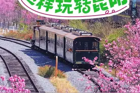 146天“超长春季”！进来解锁昆明踏春撒欢指南图片