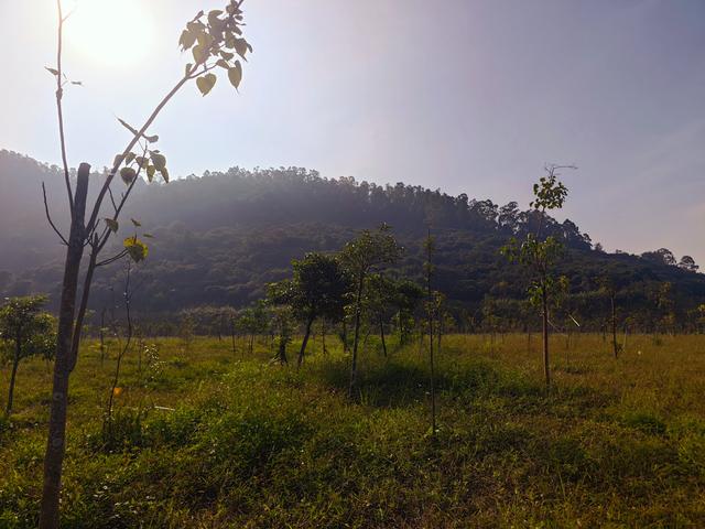 塘朗山郊野公园火车道口与绿平二路段，爬坡酸爽，骑友的天堂