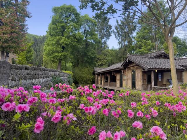 筑牢法治根基,让古镇延续历史记忆