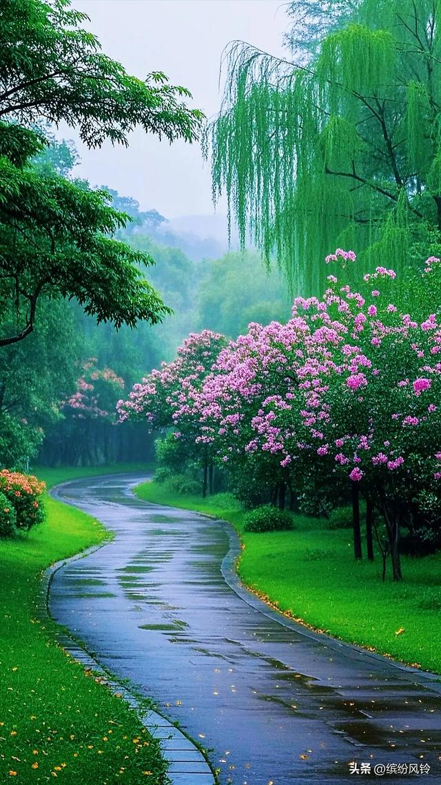 雨落芳华，打湿青石板路