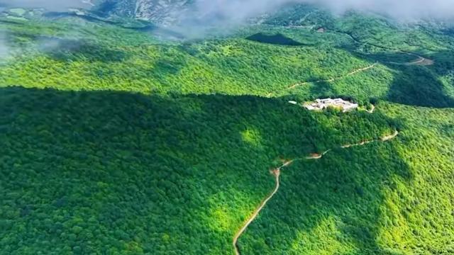 礼县文旅热力全开|这个夏天,遍地是“爆款”