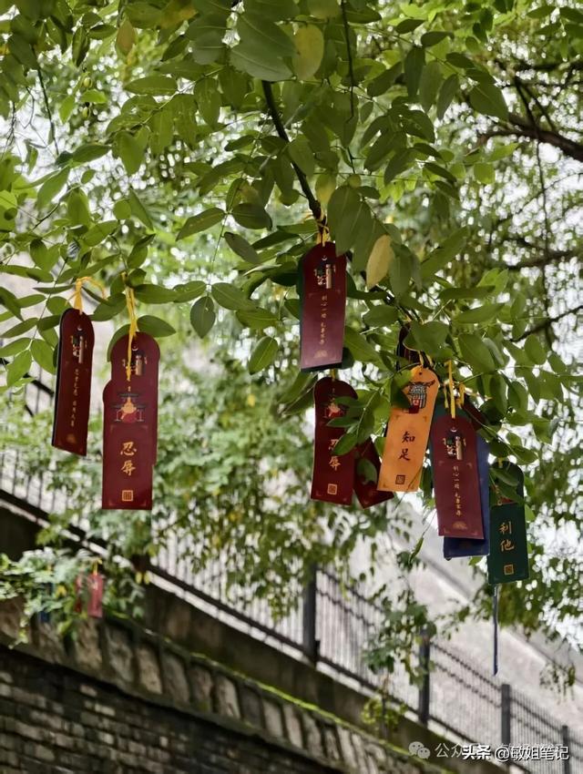 【西安游学之五】城市骑行：盛唐光影与市井烟火的交响