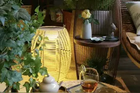 夜间“造氧气”的10种植物，卧室养“睡眠旺”！图片