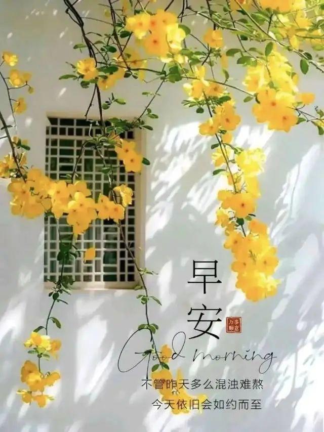 早安正能量简短励志句子，热爱生活，也会被生活治愈。早安！