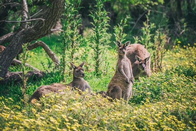 游侠客员工度假：两年了，我还在回味这里！