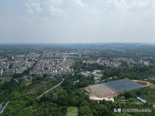 成都徒步（68）·彭州篇⑮佛山古寺&镇国寺宝塔