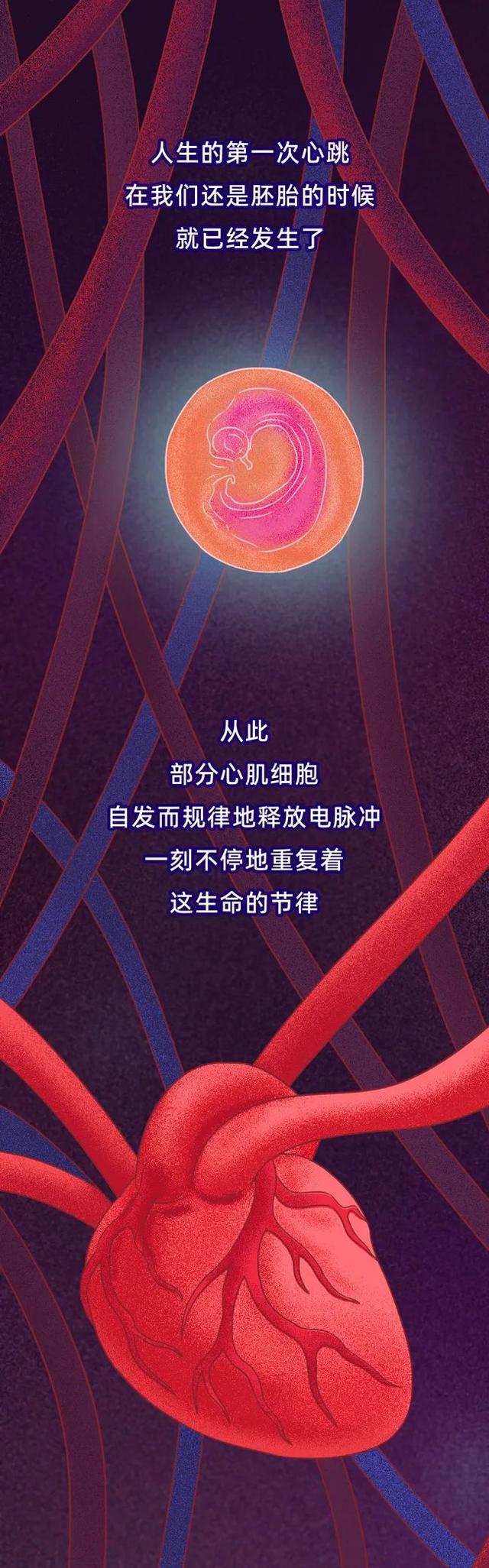 警惕！这些日常习惯正悄悄“杀死”你的心脏，现在改还不晚