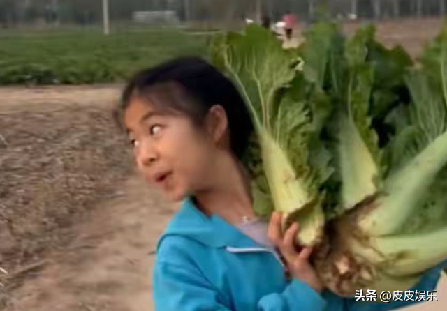 面子里子都丢了！森林北晒体检结果，汪峰让章子怡再次成“赢家”