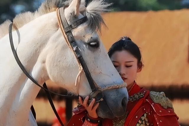 花期已至，快带妈冲！花海乐园免费玩也太香了
