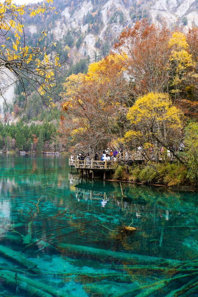 光影札记 | 秋染九寨：一半湖水蓝，一半山林红