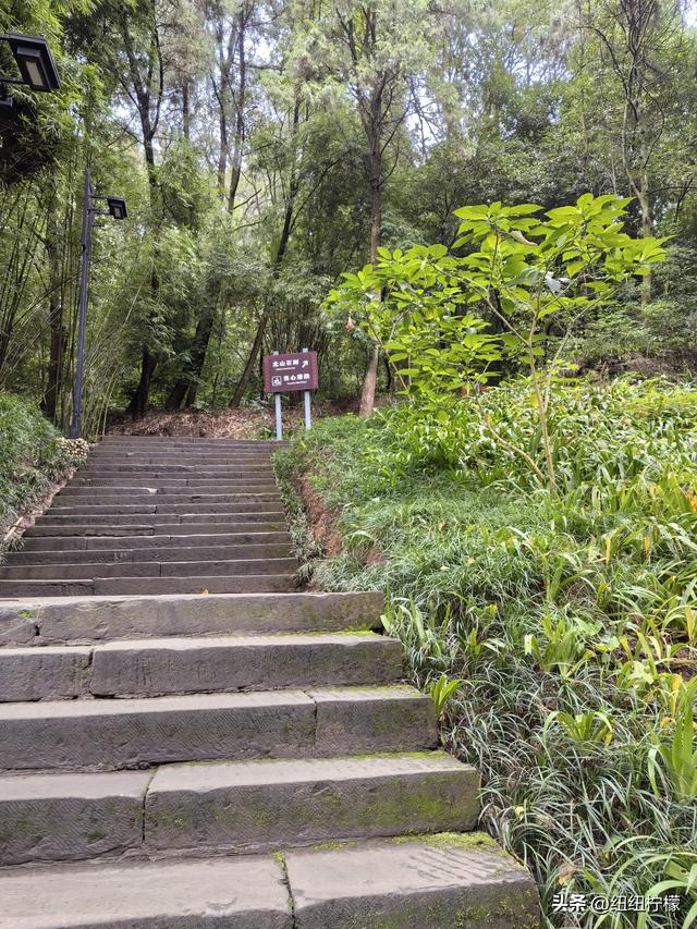 很多朋友到重庆大足区都优先选择到宝顶山石刻，忽略了北山石刻