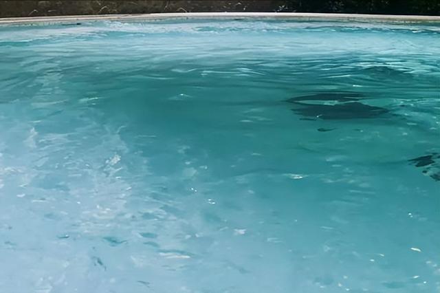 不止铁锅炖冰雪，靠洗澡养活百万人，谁才是东北第一“澡都”？