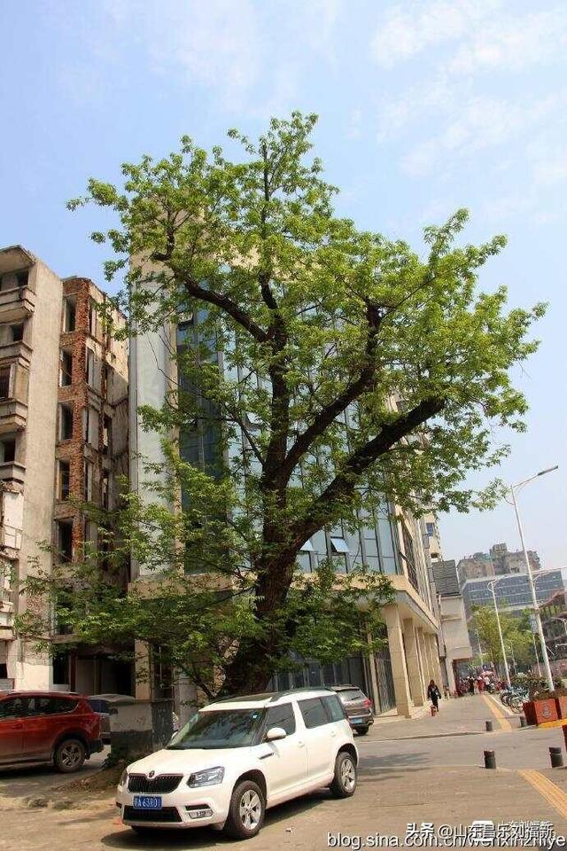 “南昌八一起义纪念馆”大门前实拍（江西之旅第廿二集）