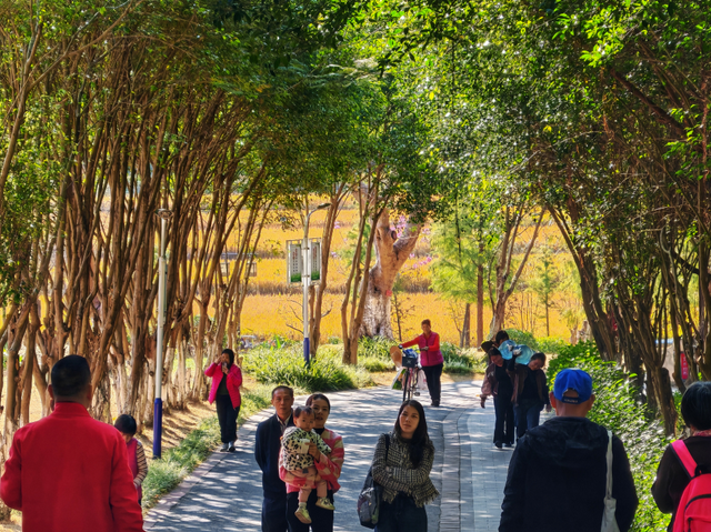 南山秋艳！云浮市民前来打卡→